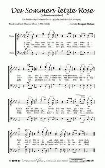 Des Sommers letzte Rose 