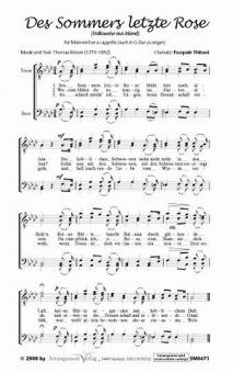 Des Sommers letzte Rose 