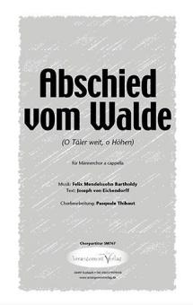 Abschied vom Walde 