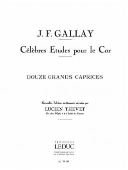 12 Grands Caprices op. 32 