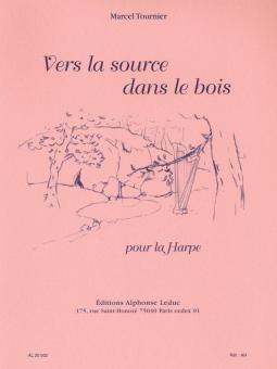 Vers La Source Dans Le Bois 