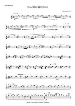 Seagull Dreams 
