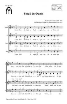 Schall der Nacht 
