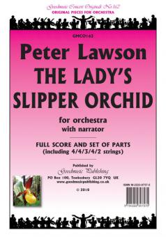 Lady's Slipper Orchid 