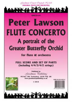 Flute Concerto 