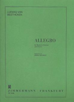 Allegro 