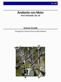Andante con Moto from Serenade op. 44 