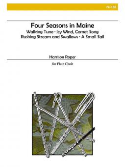 4 Seasons in Maine 