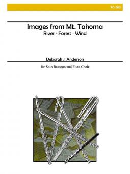 Images from Mt. Tahoma 
