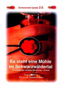 Die Mühle im Schwarzwälder Tal 