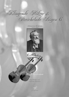 Klingende Hölzer & Streichelnde Bögen 6 