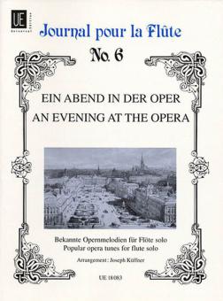 Ein Abend in der Oper 