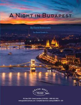 A Night in Budapest 