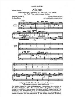 Uns ist ein Kinde geboren: Alleluia! 