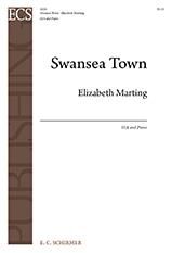 Swansea Town 