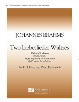 Two Liebeslieder Waltzes 