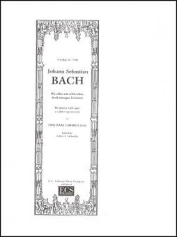 Wir eilen mit schwachen, doch emsigen Schritten 