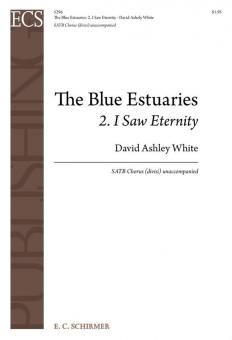 The Blue Estuaries No. 2 