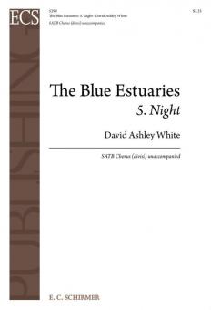 The Blue Estuaries No. 5 