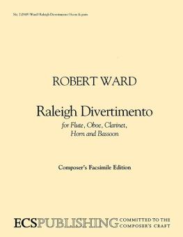 Raleigh Divertimento 