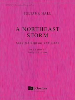 A Northeast Storm 