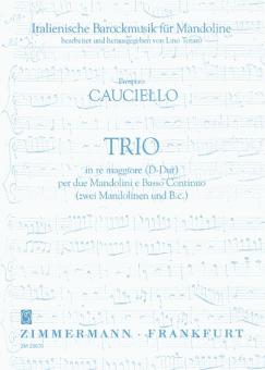 Trio per due Mandolini e Basso Continuo D-Dur 