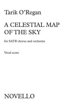 A Celestial Map of The Sky 