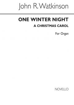 One Winter Night 