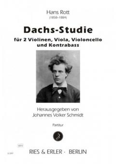 Dachs-Studie 