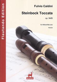 Steinbock Toccata op. 94-B 
