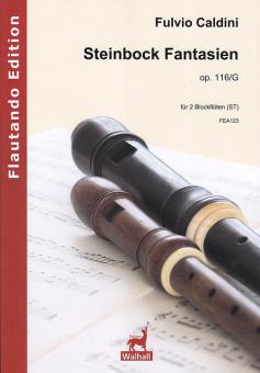 Steinbock Fantasien op. 116-G 
