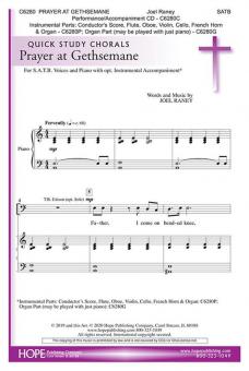 Prayer At Gethsemane 