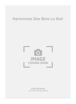 Harmonies Des Bois Le Soir 