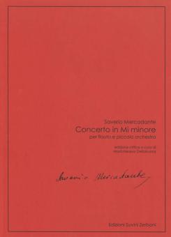 Concerto in Mi minore 