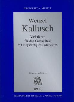 Variationen den Contra Bass mit begleitung des Orchesters Bm03 