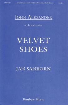 Velvet Shoes 