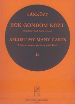 Sok gondomközt 2 