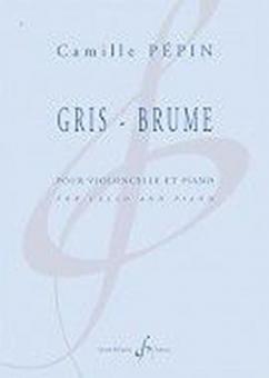 Gris-Brume 