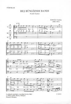 Hey BandiBüngözsdi 