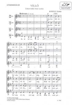 Villõ - The Straw Guy 