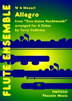 Eine kleine Nachtmusik - Allegro 