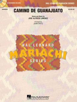 Camino De Guanajuato 