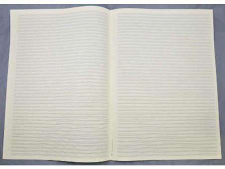 Notenpapier Din A3 hoch (29,7x42) 44 Systeme 