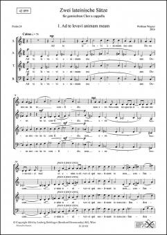 2 lateinische Sätze 