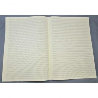 Notenpapier Großpartitur hoch (30x42) 36 Systeme 