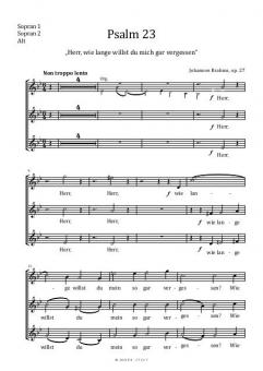 Der 23. Psalm 