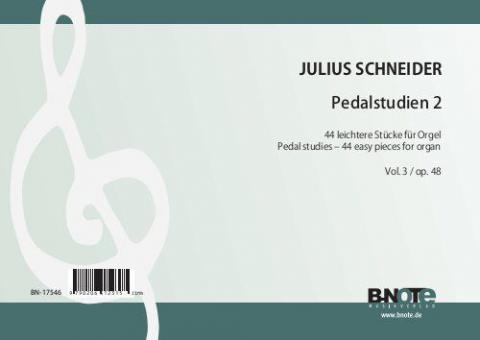 Pedalstudien 2 