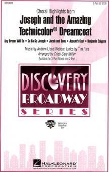 Joseph And The Amazing Technicolor Dreamcoat 