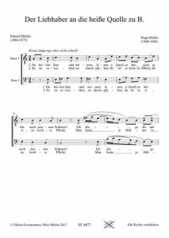 Der Liebhaber an die heiße Quelle zu B. 