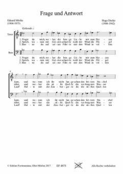 Frage und Antwort, Fassung 2 